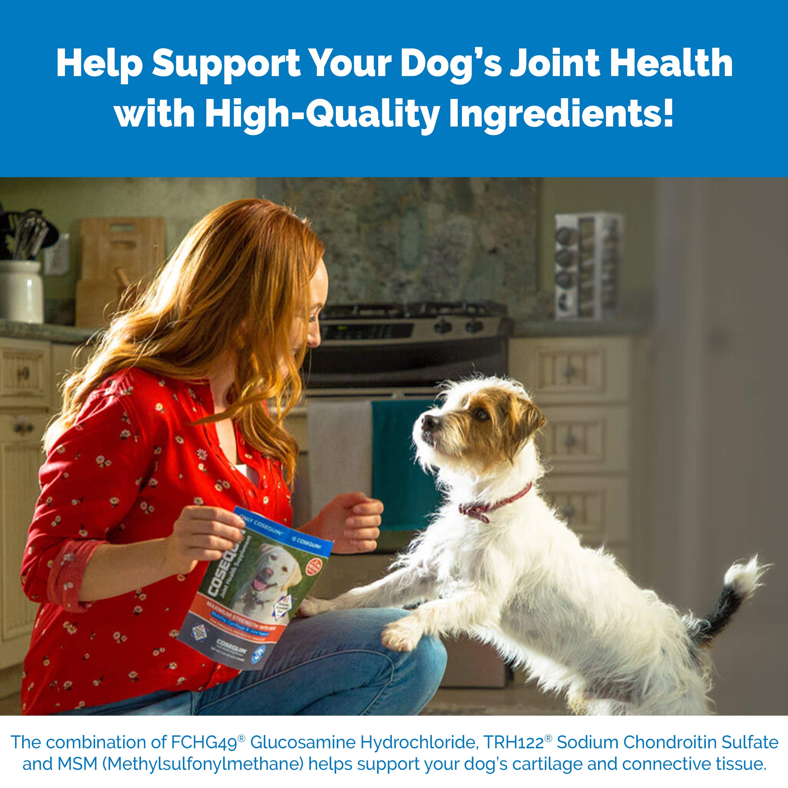Nutramax Laboratories Cosequin Maximum Strength Joint Health Supplement for Dogs Nutramax LaboratoriesBuy Supplements Australia