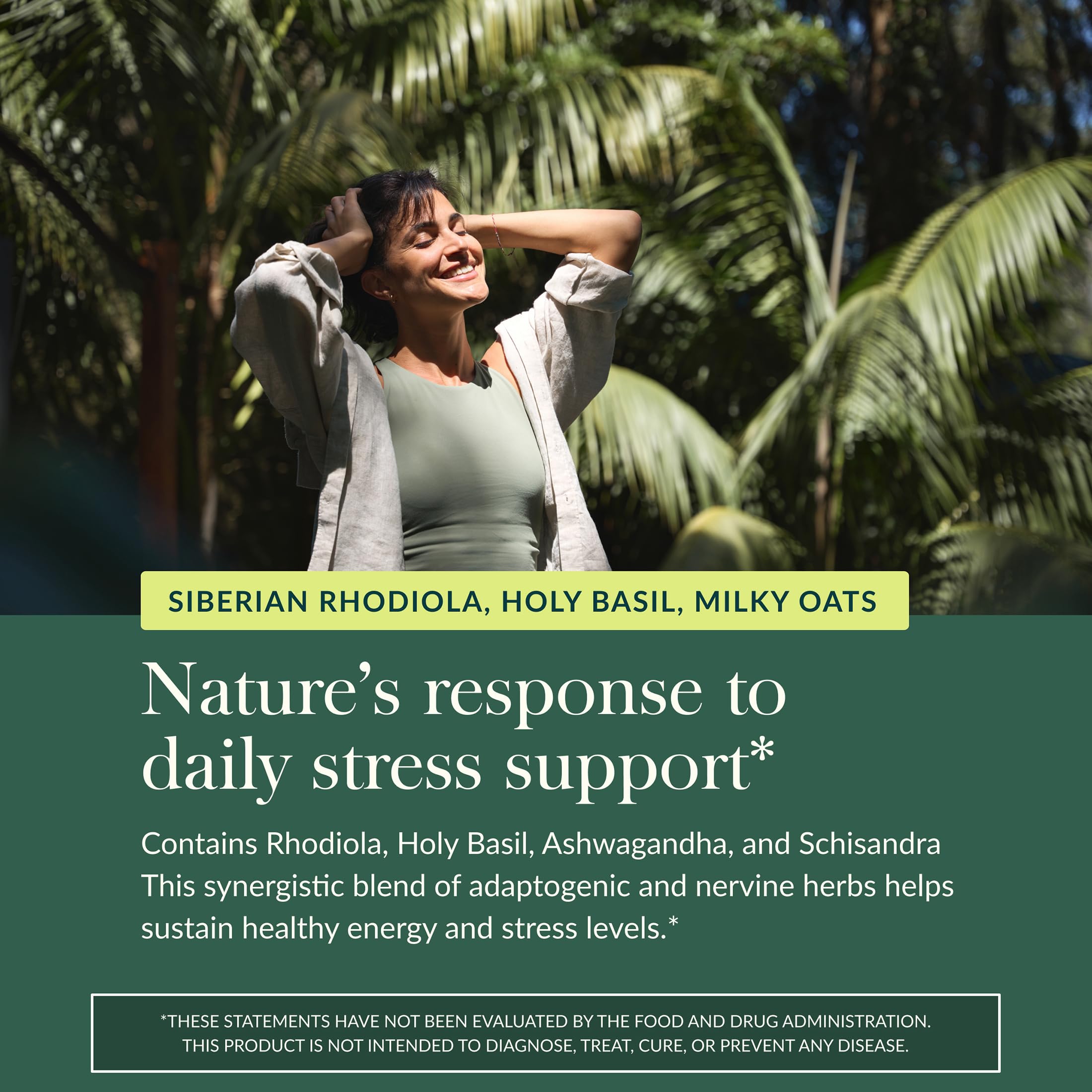 Gaia Herbs Adrenal Health Daily Support - Herbal Supplement with Ashwagandha, Holy Basil & Schisandra - Help Maintain Healthy Energy & Stress Levels* - 60 Vegan Liquid Phyto-Caps (30 Servings) Gaia HerbsBuy Supplements Australia