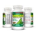 Germa Chanca Piedra Supplement – 500mg Phyllanthus Niruri – Traditional Stone Breaker Herb for Urinary & Kidney Support – Rainforest Botanical – 100% Natural Vegan Capsules, 100 Count GermaBuy Supplements Australia