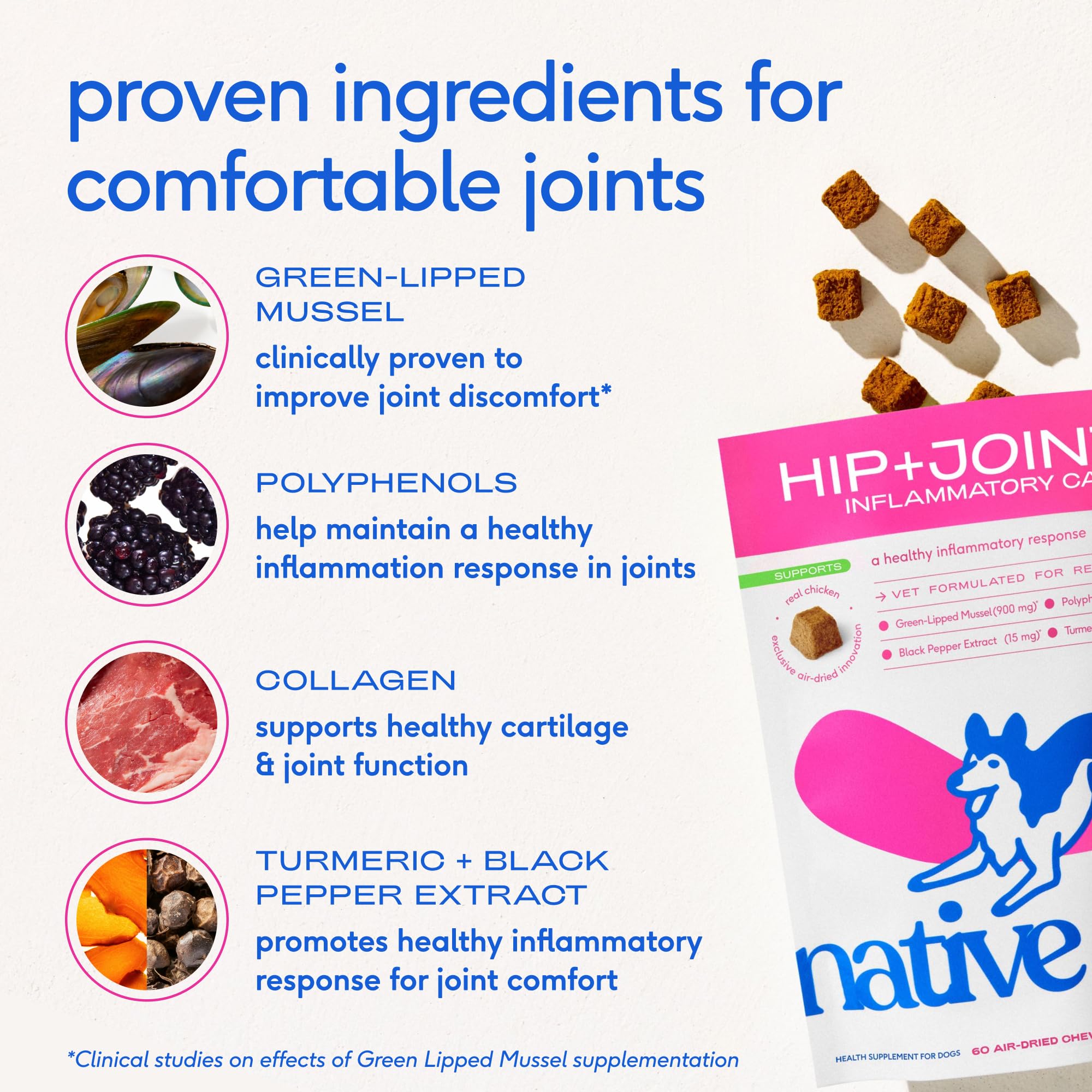Native Pet Inflammatory Care - Pain Relief for Dogs - Green-Lipped Mussel, Turmeric & Collagen for Dogs - Hip and Joint Supplement Supports Healthy Inflammatory Response & Joint Comfort - 60 Chews Native PetBuy Supplements Australia