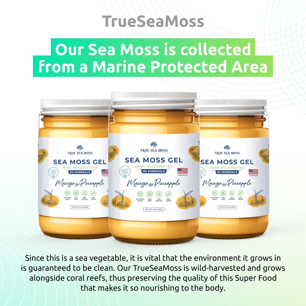 TrueSeaMoss Wildcrafted Irish Sea Moss Gel – Nutritious Organic Raw Seamoss Rich TrueSeaMossBuy Supplements Australia