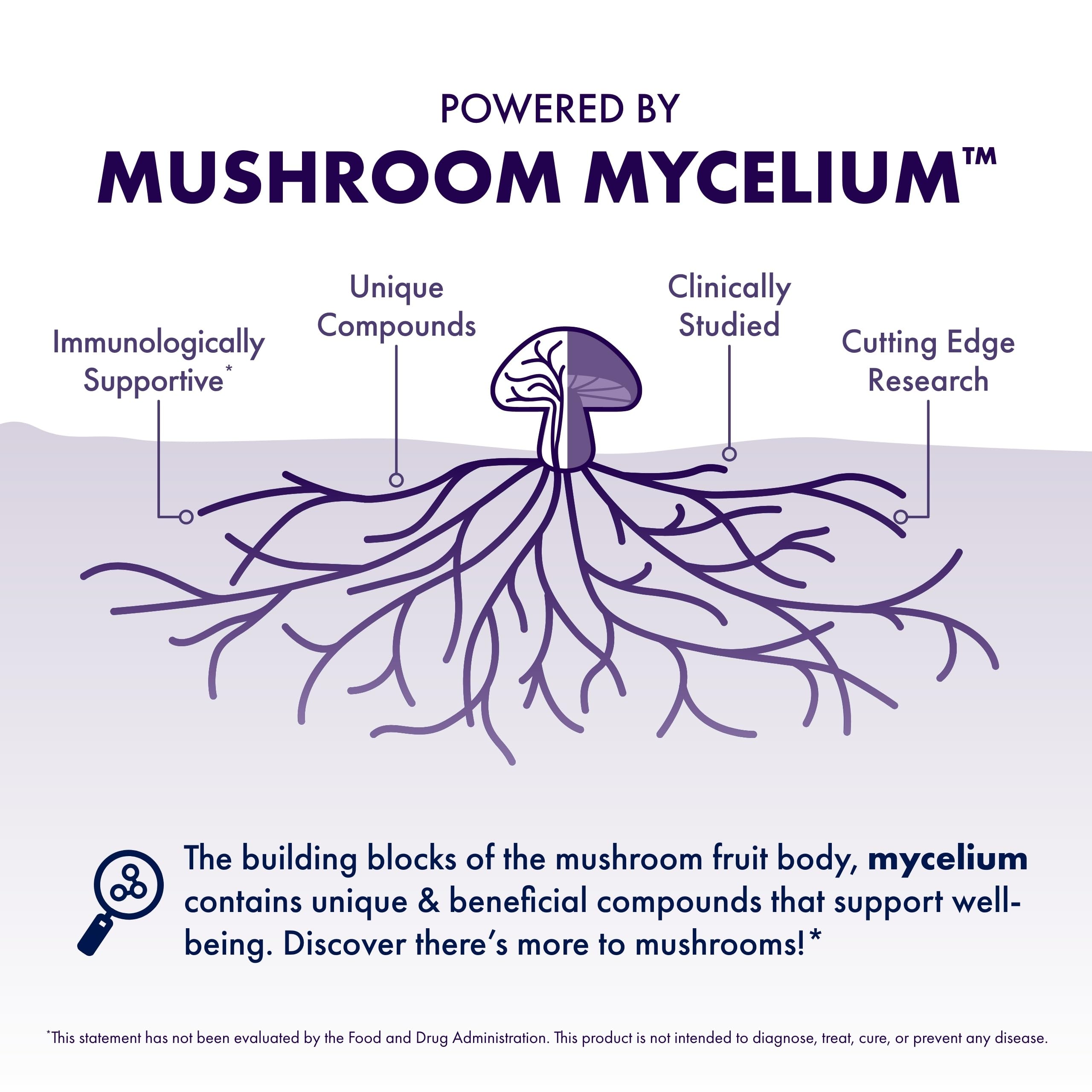 Host Defense MycoBotanicals Brain* Capsules - Brain Support Supplement with Lion's Mane, Reishi & Cordyceps Mushroom - Herbal Supplement for Memory & Focus Support - 60 Capsules Host DefenseBuy Supplements Australia