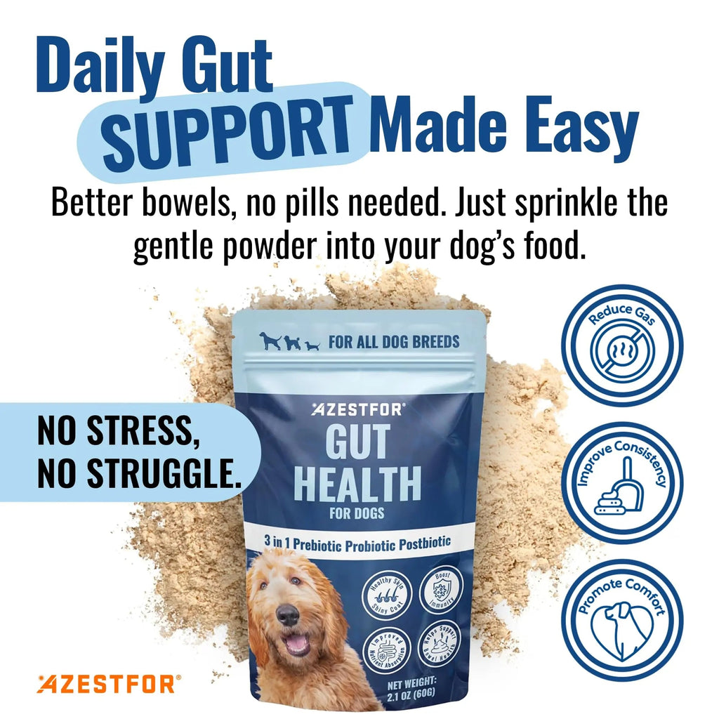 Azestfor Gut Health Supplement for Dogs – 3 in 1 Probiotic, Prebiotic & Postbiotic Blend – Supports Digestion, Immunity & Skin – Easy-to-Use Powder – for All Breeds & Sizes – 60g (30 Servings) AzestforBuy Supplements Australia