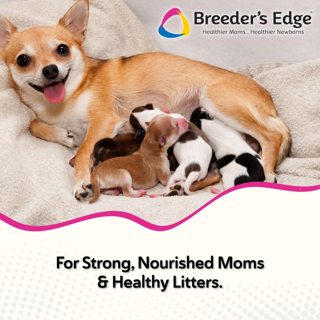 Breeder's Edge Oxy Momma Soft Chews, Postnatal Vitamin Supplement for Lactating Dogs and Cats, Supports Recovery, Hormones, and Next Pregnancy - for Small Dogs & Cats, 40ct Soft Chews Revival Animal HealthBuy Supplements Australia