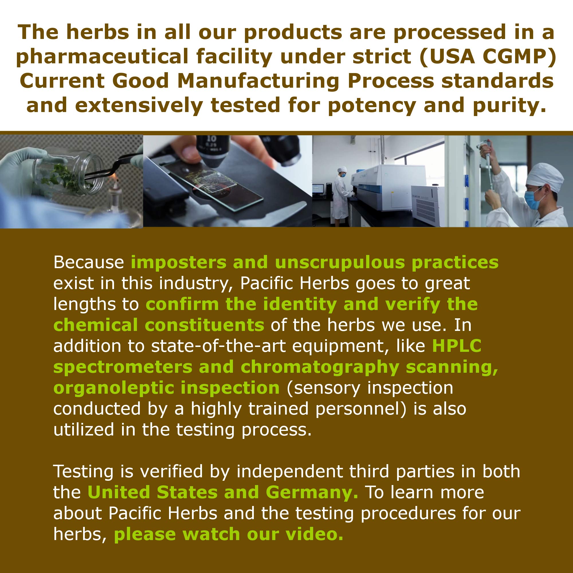 Pacific Herbs Corydalis Natural Pain Relief Herbs Pacific HerbsBuy Supplements Australia