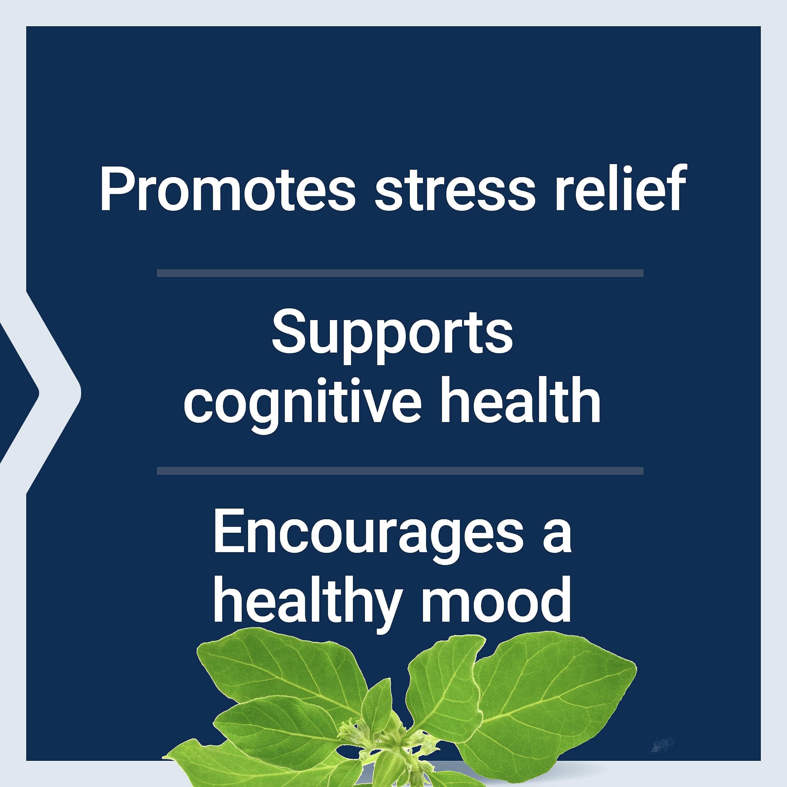 Life Extension Optimized Ashwagandha - Stress Management Supplement for a Healthy Stress Response, Focus, Memory, Stress Relief - Vegetarian, Gluten-Free, Non-GMO, 60 Capsules Life ExtensionBuy Supplements Australia