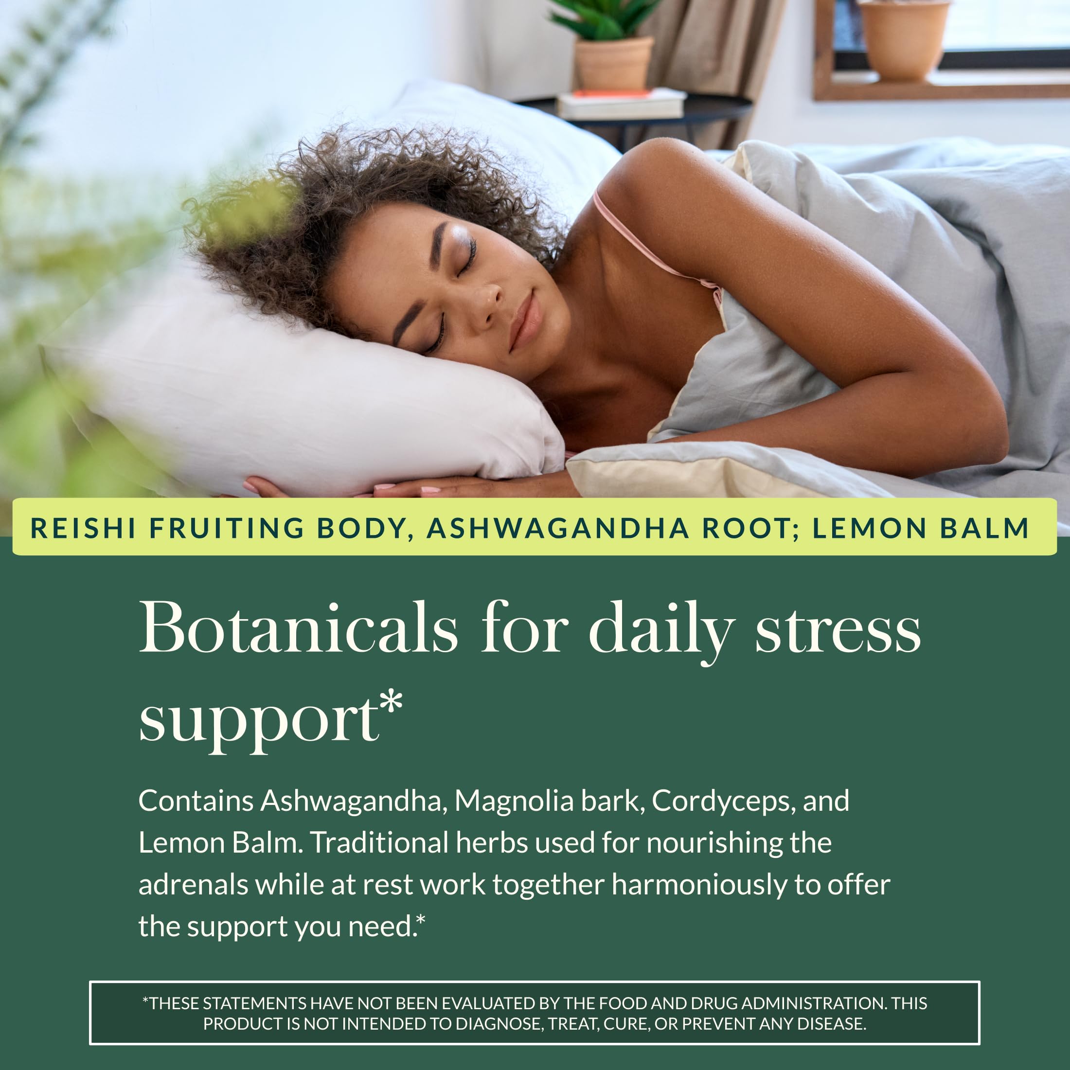Gaia Herbs Adrenal Health Nightly Restore - Herbal Supplement with Ashwagandha, Magnolia Bark, Cordyceps, Lemon Balm & More* - 60 Vegan Liquid Phyto-Caps (30 Servings) Gaia HerbsBuy Supplements Australia