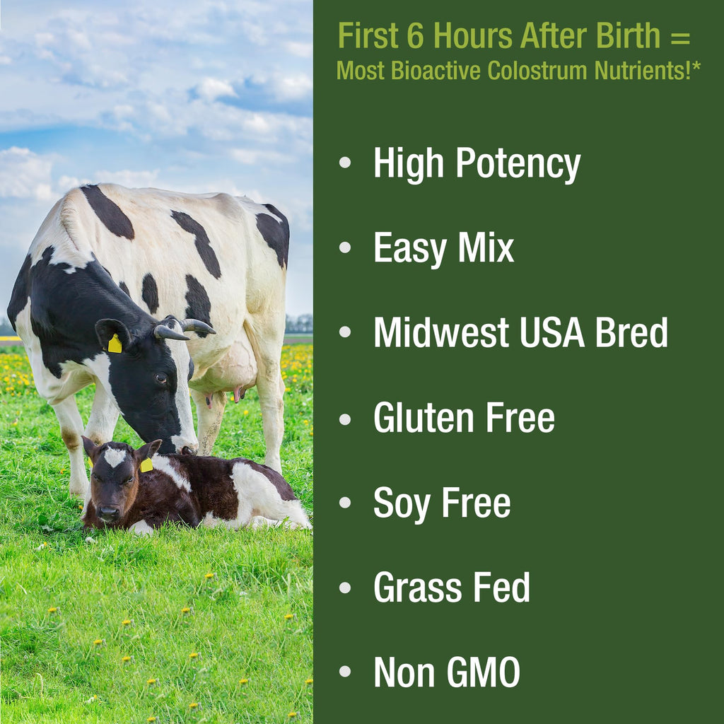 First Milking Colostrum Powder from Grass Fed USA Cows Milked Within 6 Hours of Giving Birth to Get the Most Bioactive Nutrients. High Immunoglobulin Non-GMO Bovine Colostrum Supplement for Humans Peak PerformanceBuy Supplements Australia
