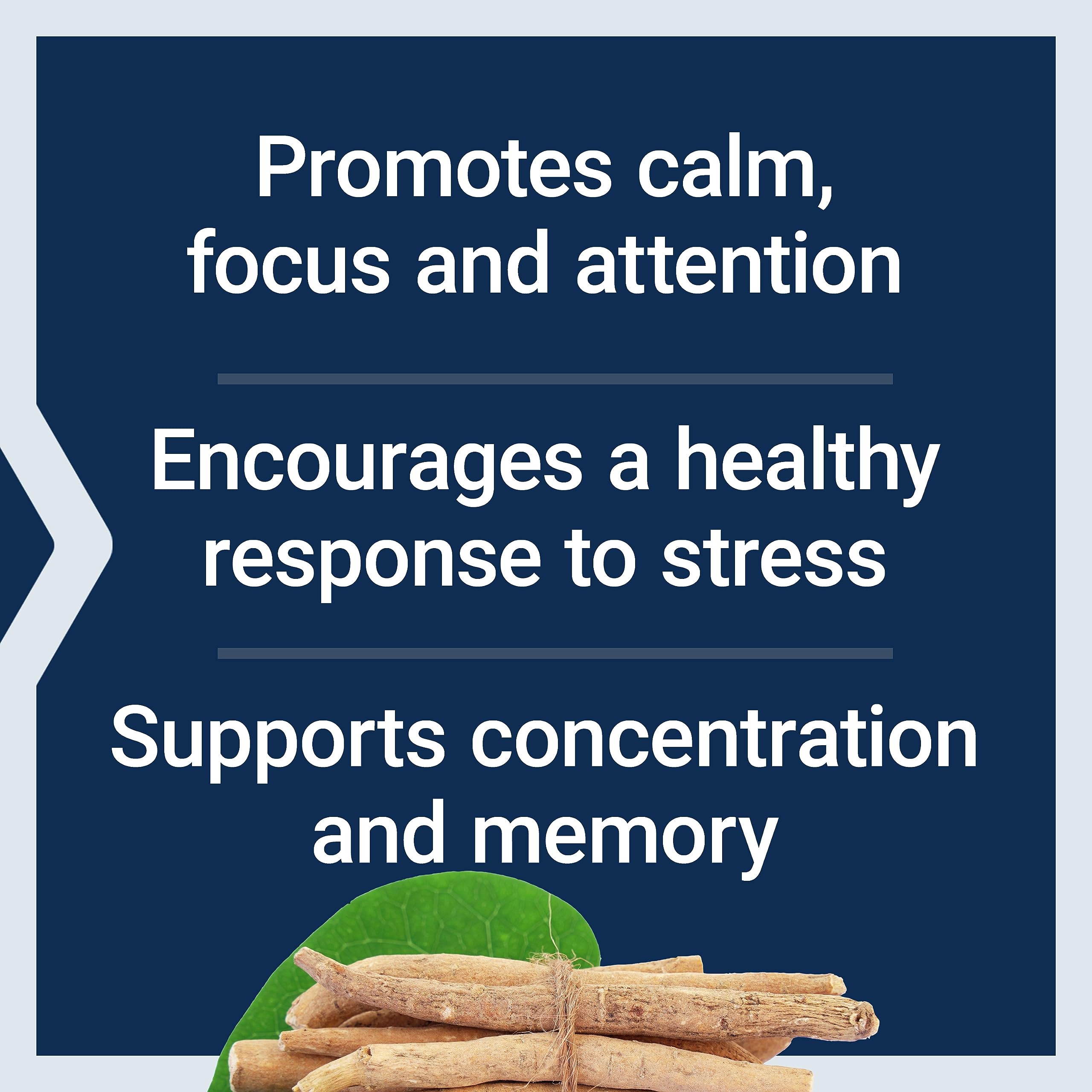 Life Extension Ashwagandha Plus Calm & Focus, ashwagandha Extract, Spearmint Extract, Focus, Attention, Relaxation, Advanced Formula, 60 Vegetarian Capsules Life ExtensionBuy Supplements Australia