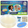 Giant Microbiology Bacteria Science Kit for Kids:2 XL 150mm Prepoured Nutrient Agar Plates, Petri Dishes with Agar & Colony Characteristics Poster for School Projects & Educational Gifts MosynexBuy Supplements Australia
