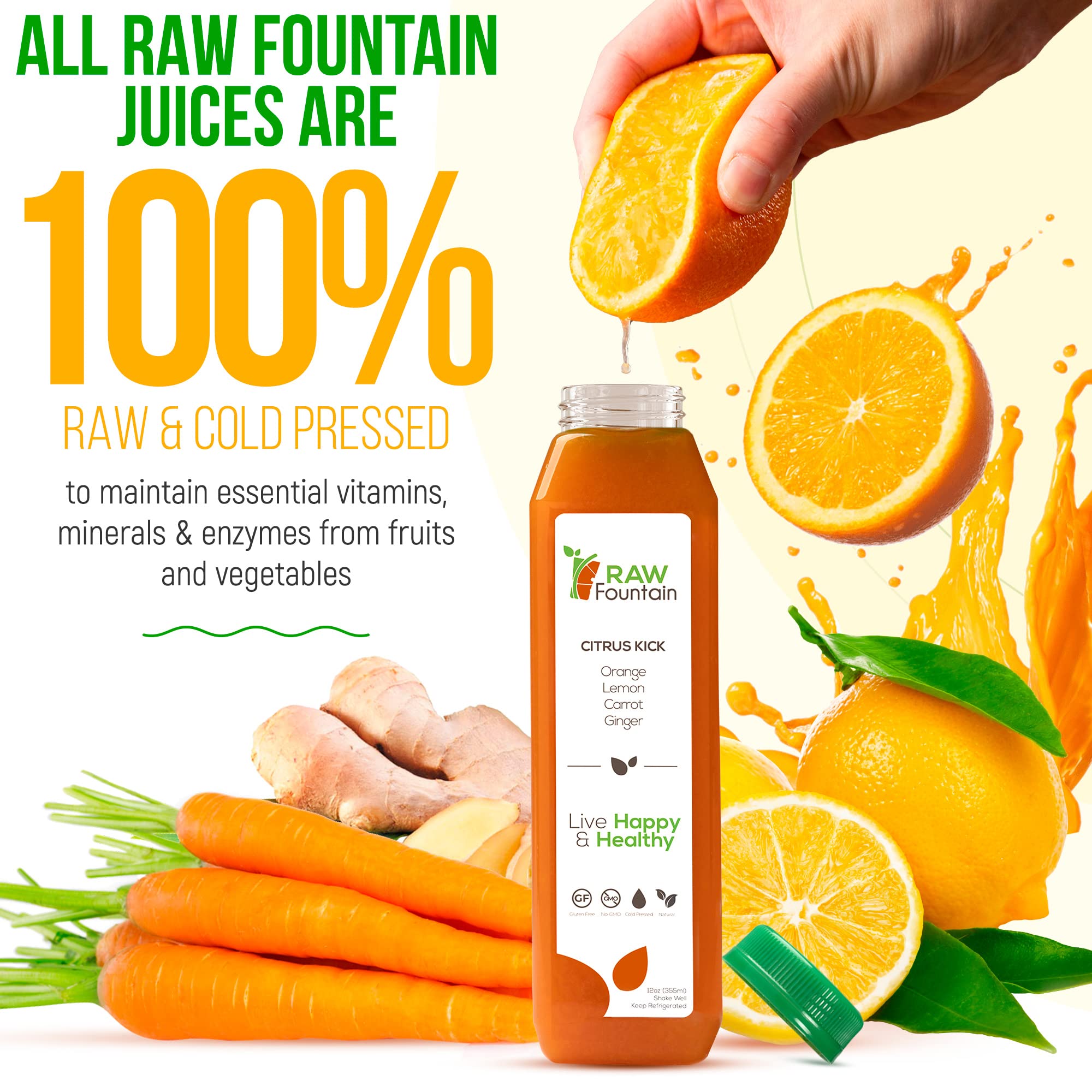1 Day Green Juice Cleanse by Raw Fountain, All Natural Raw, Vegan Detox, Cold Pressed Raw FountainBuy Supplements Australia