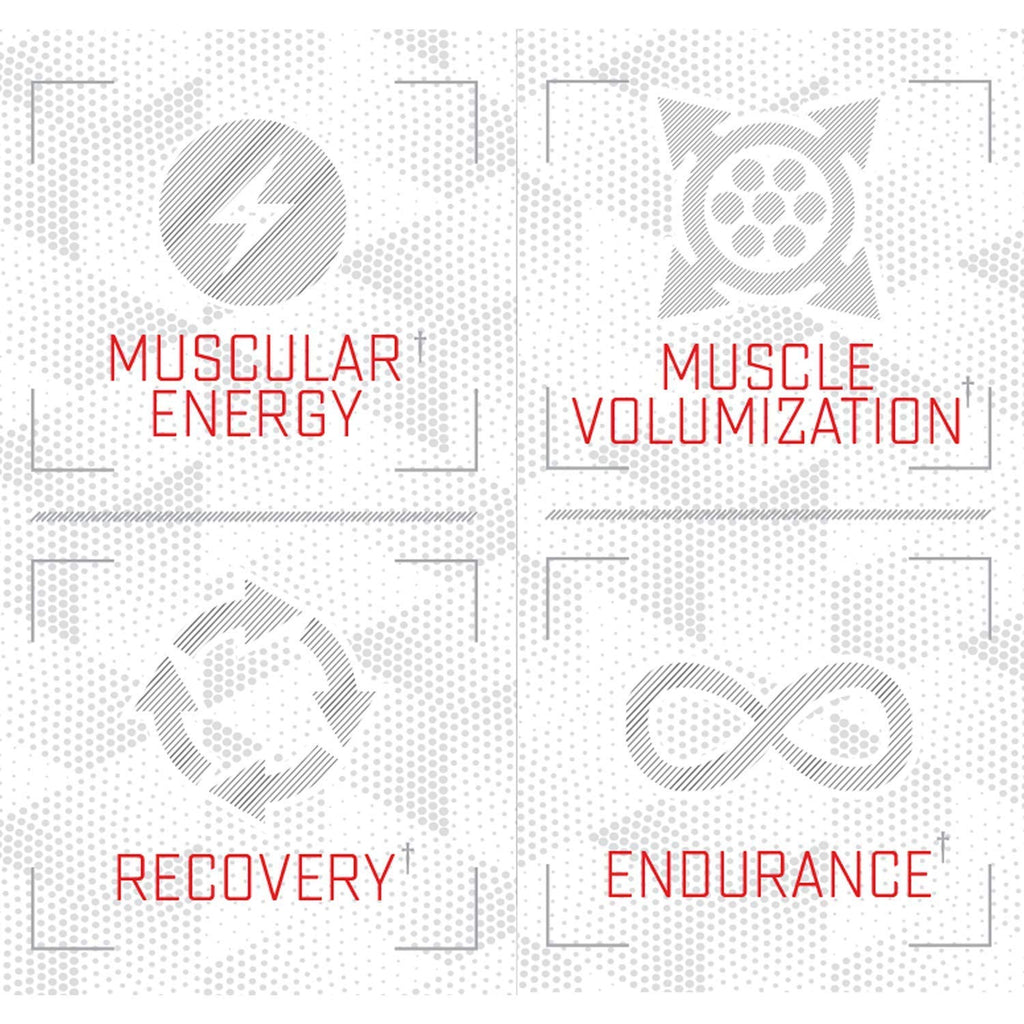 Purus Labs Foundation Series Citrulline Malate Powder | Active Amino Acid L-Citrulline | Strength, Volume, & Recovery | 100 Servings (Unflavored)
