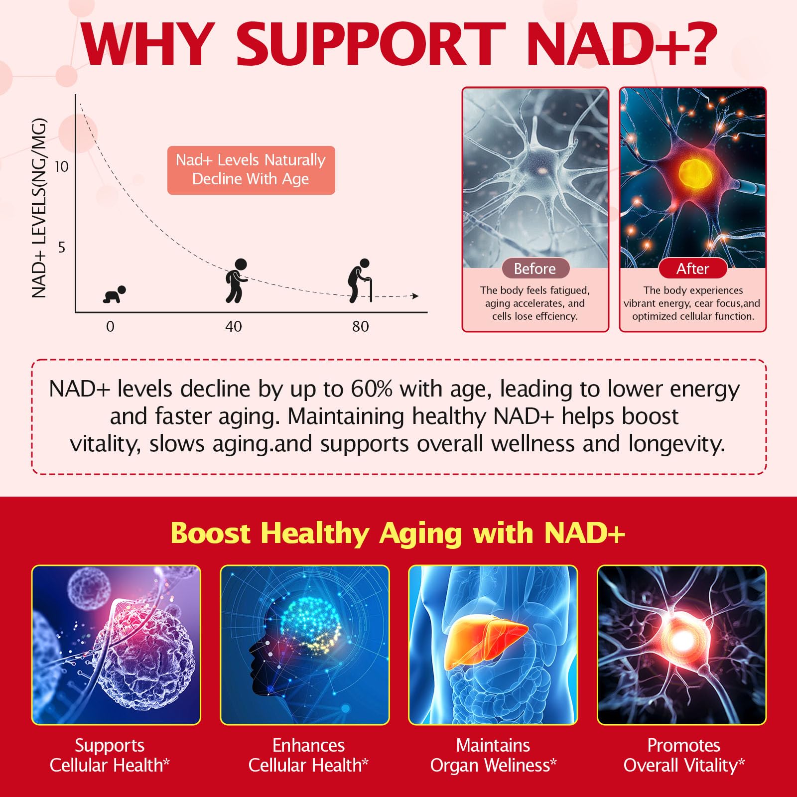 NAD+ Supplement 1000mg Liquid Packets 21pcs, Nicotinamide Riboside Resveratrol, NAD Supplements for Women Men, Anti-Aging, Repairs Cells, Support Natural Vitality NyloriaineBuy Supplements Australia