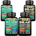 Parrox Shilajit and Sea Moss Bundle, Sea Moss 350mg, Black Seed Oil 200mg, Ashwagandha 100mg, Turmeric, Shilajit 300mg, Rhodiola Rosea 100mg, Panax Ginseng 50mg, Dynamic Vitality Bundle (2 Pack) ParroxBuy Supplements Australia