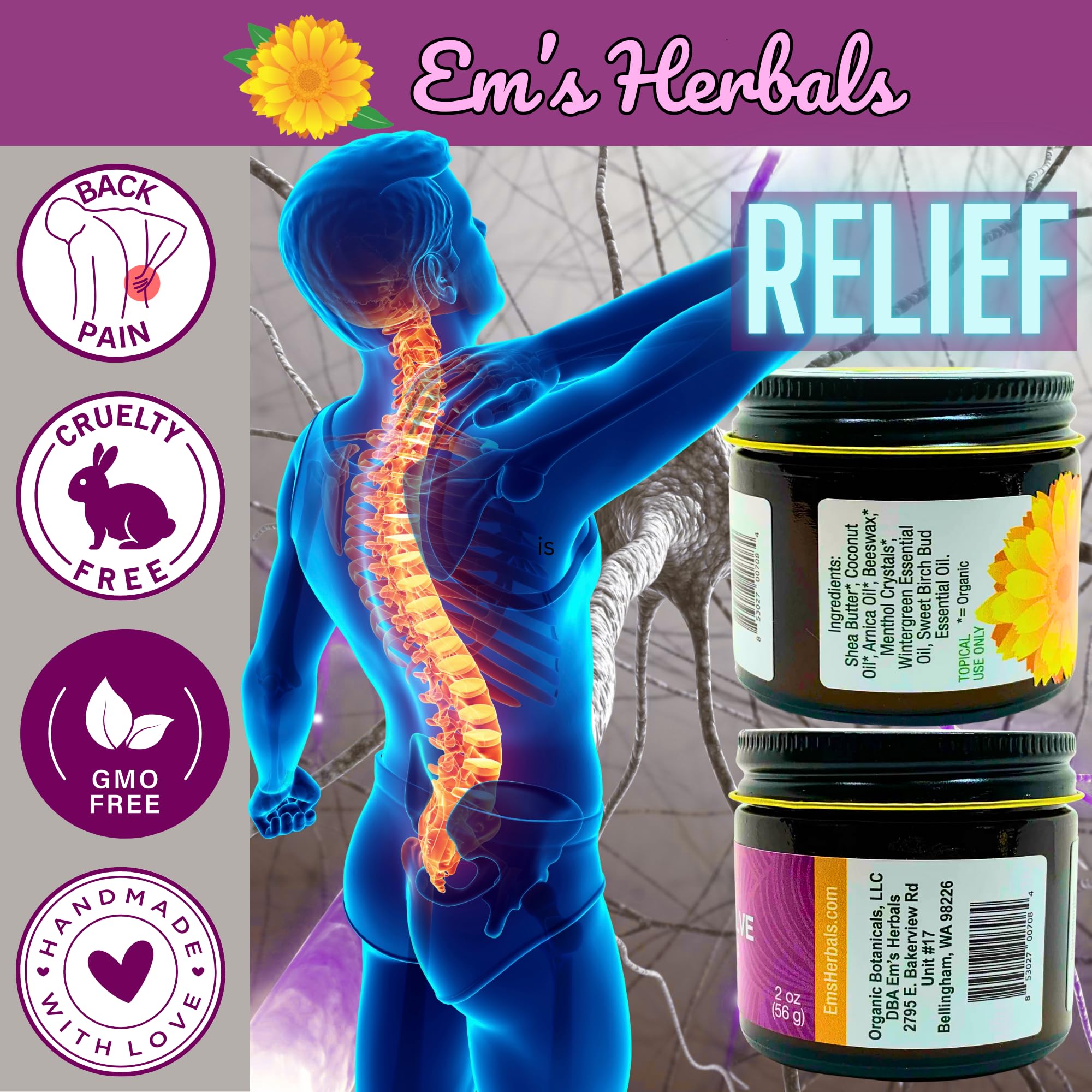 Em's Herbals, Muscle & Joint Care Arnica Salve - Amplified Arnica Salve Made with Menthol Crystals, and Effective Essential Oils to Penetrate Deep into Muscles, Joints, and Back Discomfort (2 oz) Em's HerbalsBuy Supplements Australia