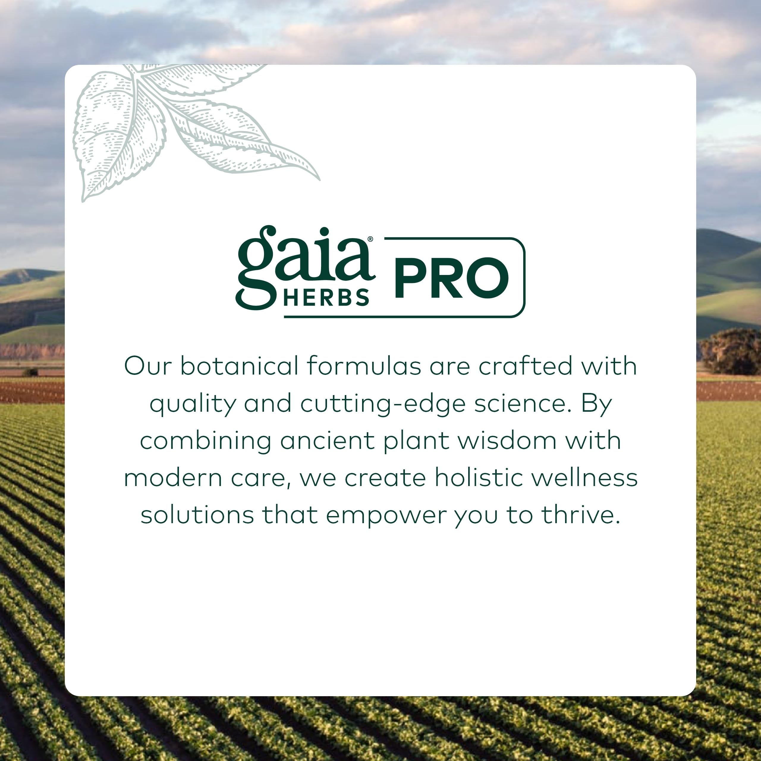 Gaia Herbs Pro Female Hormone Formula PM - Women's Health Supplement for Menopause & Sleep Support - Black Cohosh & St. John's Wort - Vegan, Soy-Free & Gluten-Free - 60 Liquid Phyto-Caps (30 Servings) Gaia Herbs PROBuy Supplements Australia