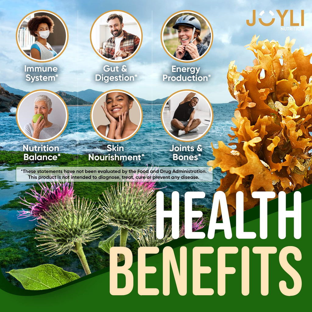 Sea Moss Gummies - Irish Seamoss Gummies for Adults & Kids - Advanced Superfood Supplement with Natural Sea Moss Gel, Bladderwrack & Burdock Root Extract - 60 Vegan Irish Moss Gummy Bears JOYLI NutritionBuy Supplements Australia