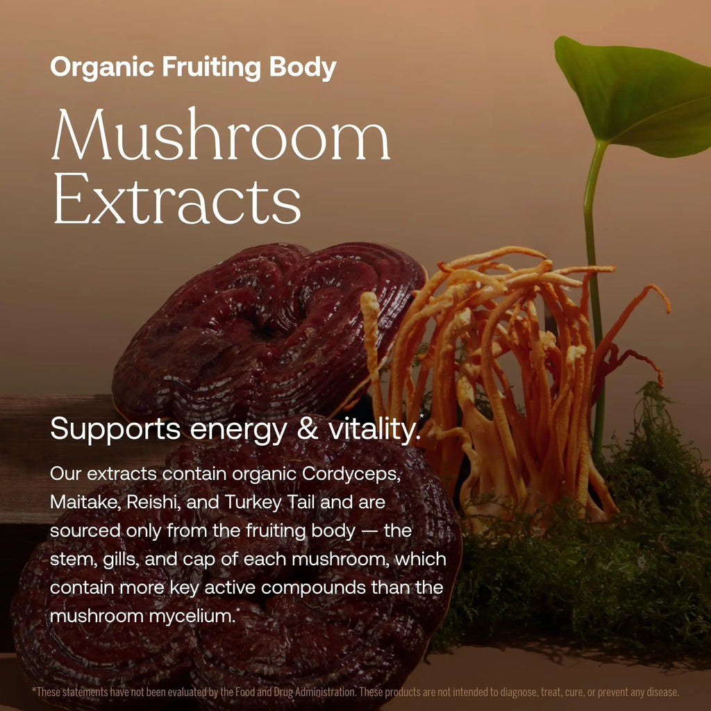 True Grace One Daily Women’s Multivitamin Fermented Minerals, Organic Adaptogens & Mushrooms Whole Body Balance, Immune, Energy, Beauty Support True Grace