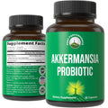 Akkermansia Probiotic to Increase GLP-1 Production. Ultra High Strength Akkermansia Muciniphila Live Strain with Prebiotic Fiber for Gut Health & Microbiome Balance. Delayed Release, 3rd Party Tested Peak PerformanceBuy Supplements Australia