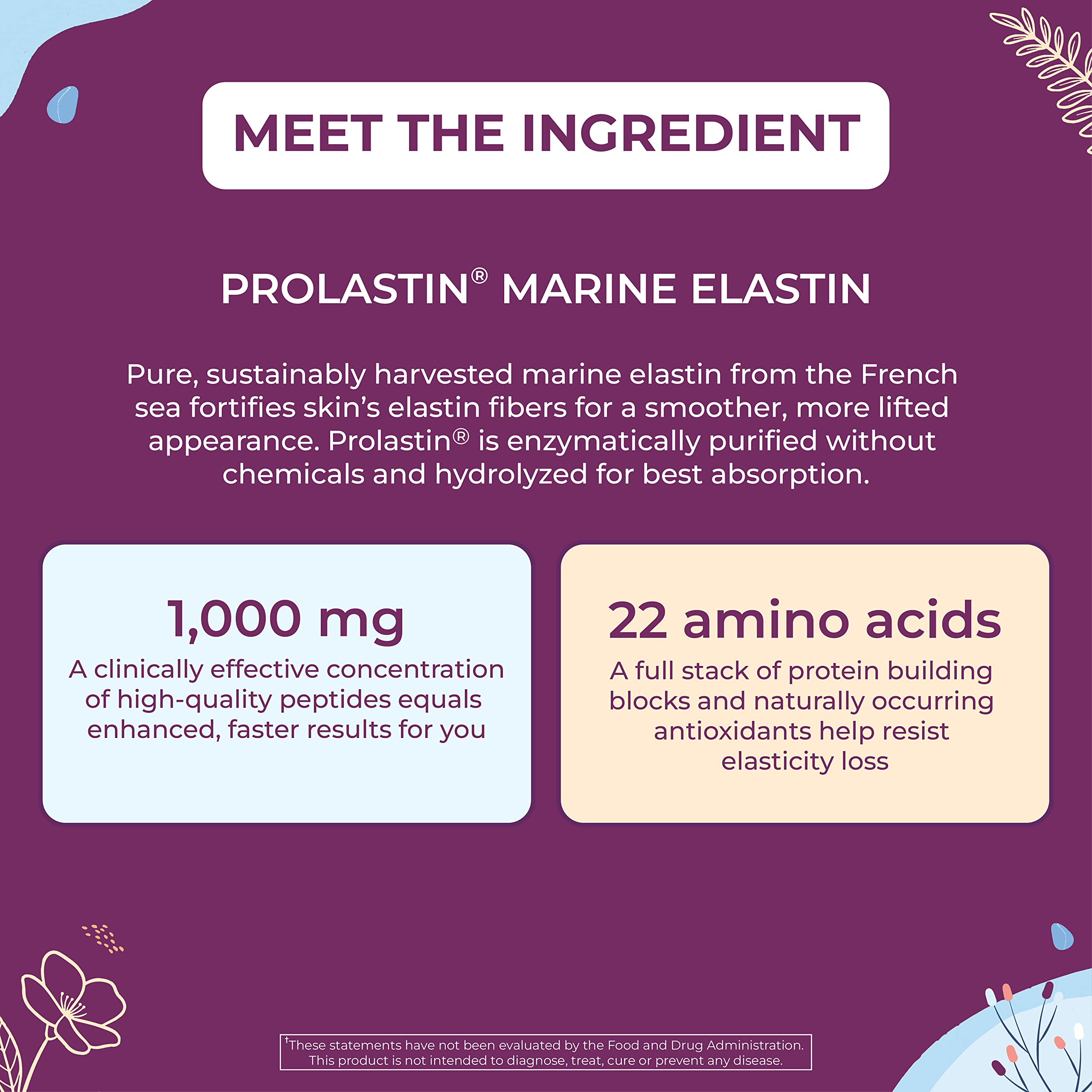 Body Kitchen Pro-Elastin 1000 mg Elastin Supplement, Reduce Signs of Aging, Improved Skin Health, Firmness & Elasticity, Fewer Wrinkles, Veggie Caps (Pack of 3) Body Kitchen buy supplements Au