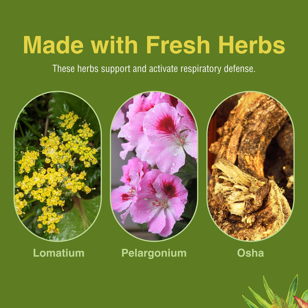 Herbs Etc. Loviral - Lung Health Supplement for Respiratory Defense & Support - Herbal Supplement with Lomatium, Pelargonium & OSHA - Gluten-Free - 60 Softgels (60 Servings) Herbs Etc.Buy Supplements Australia