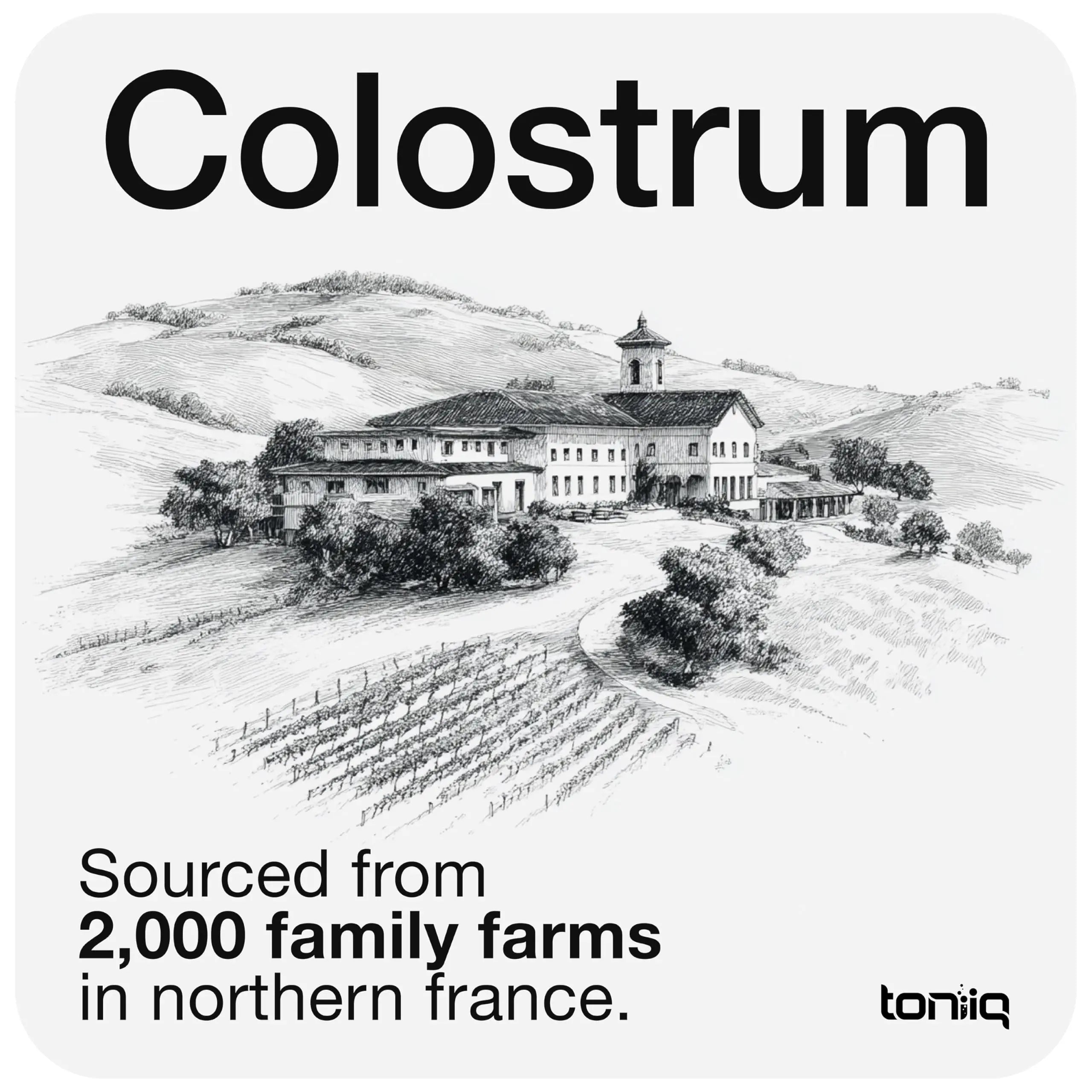 Toniiq Colostrum Powder – Ultra High Potency 50% IgG Concentrate – Farm-to-Jar Traceable French Colostrum – Microfiltered for Purity – Third-Party Lab Verified – 30 Servings Toniiq buy supplements Au