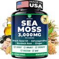 Sea Moss Black Seed Oil Ashwagandha Ginger - Advanced Irish Sea Moss Capsules All in One Supplement with Seamoss Black Seed Oil Ashwagandha Burdock Root Bladderwrack - Pills for Energy, Immune, Gut Opti HealthBuy Supplements Australia