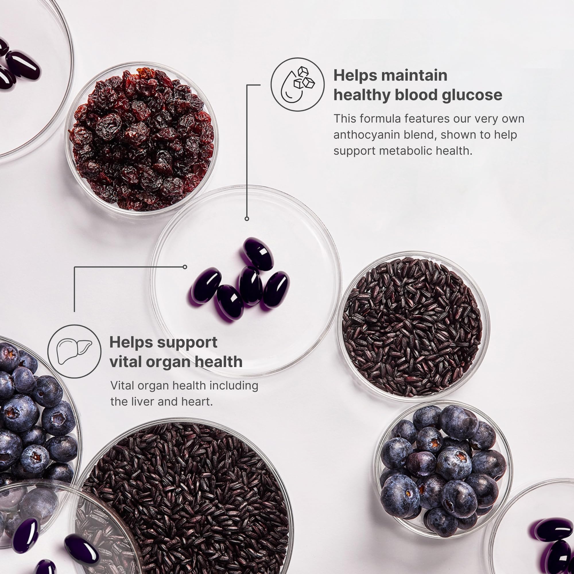 Nu Skin ageLOC Meta | Premium Dietary Supplement | Advanced Soft Gel Capsules Promoting Metabolic Health, Immune Support, Antioxidant Defense, and Improved Gut Health Nu SkinBuy Supplements Australia