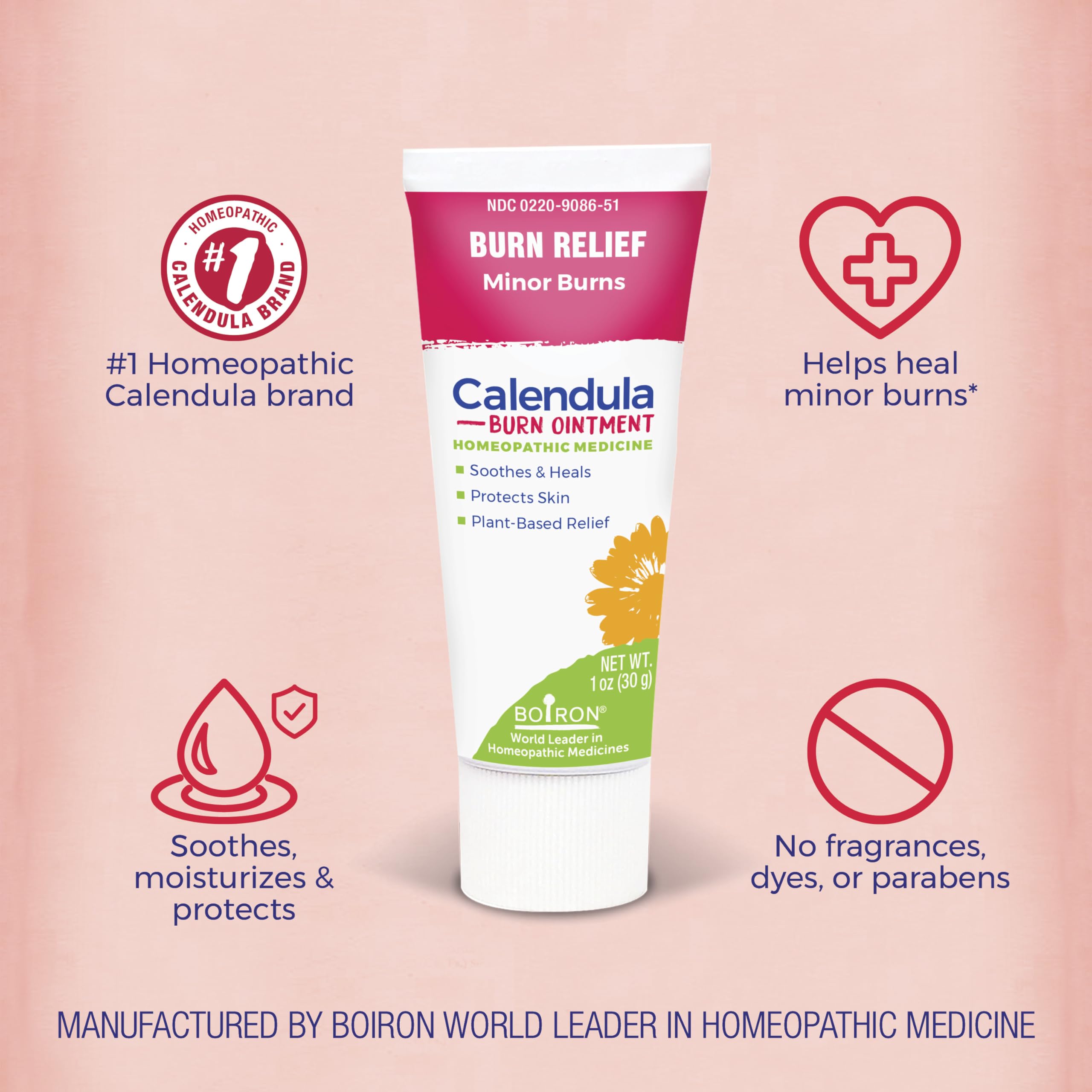 Boiron Calendula Burn Ointment for Relief from Minor Burns from Cooking, Friction, or Sunburns - 1 oz BoironBuy Supplements Australia
