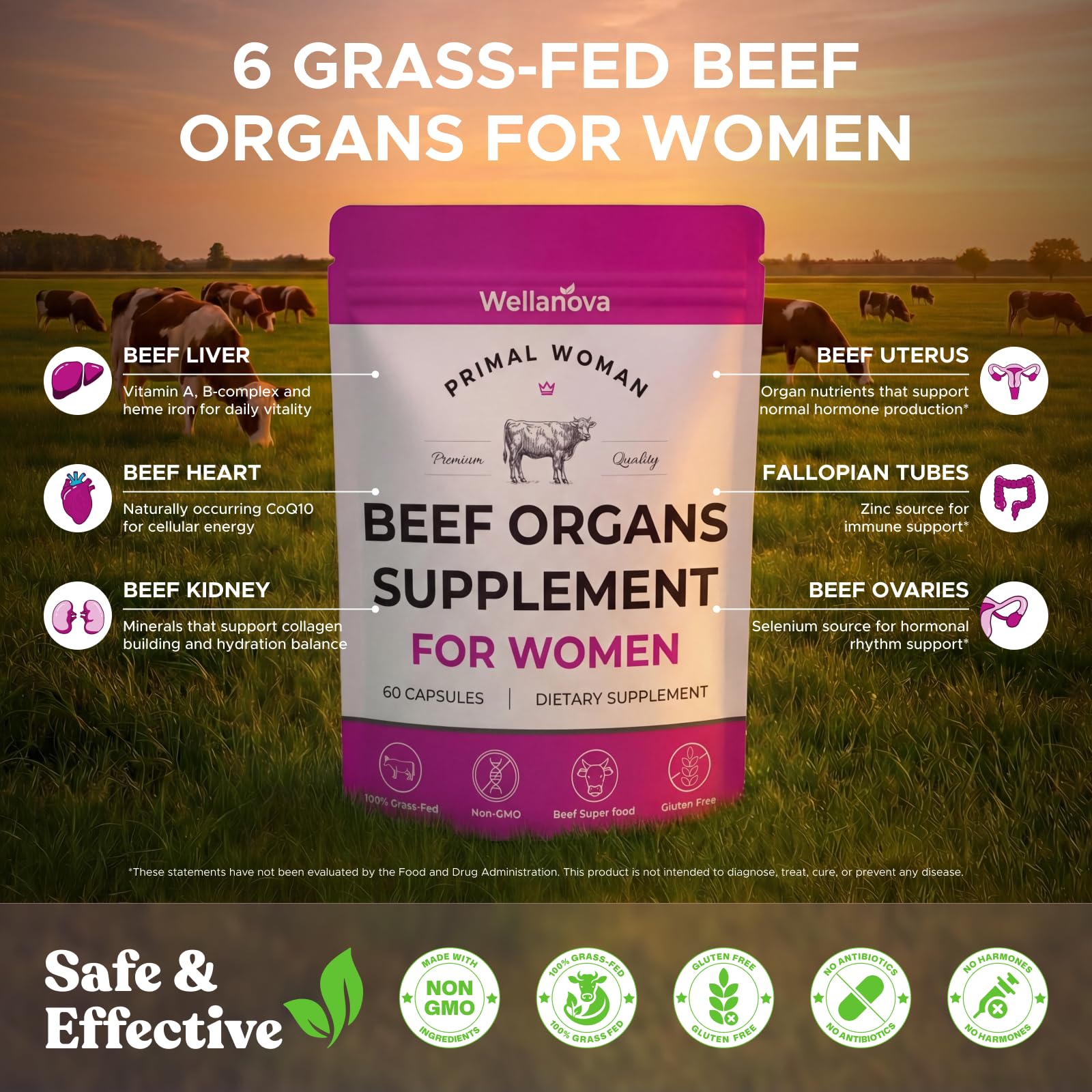 Primal Beef Organ Supplement for Women, Grass-Fed Ancestral Superfood Supplement with Uterus & Liver for Hormone Balance & Queen Energy - 60 Day Supply WellanovaBuy Supplements Australia