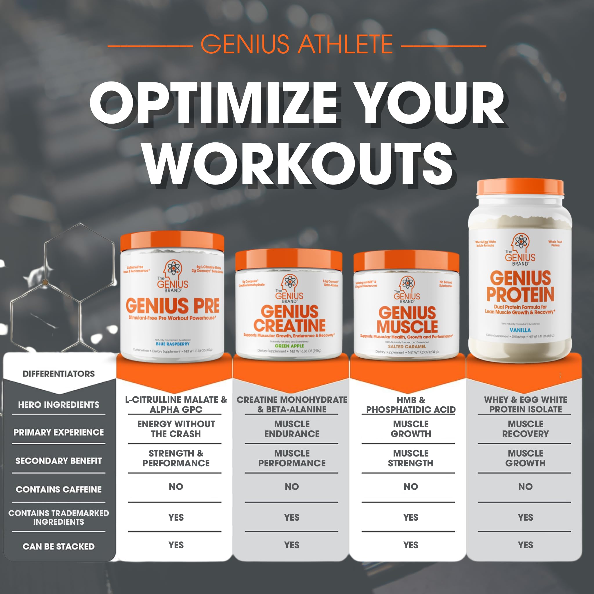 Genius Pre Workout Powder, Blue Raspberry - All-Natural Nootropic Pre-workout & Caffeine The Genius BrandBuy Supplements Australia