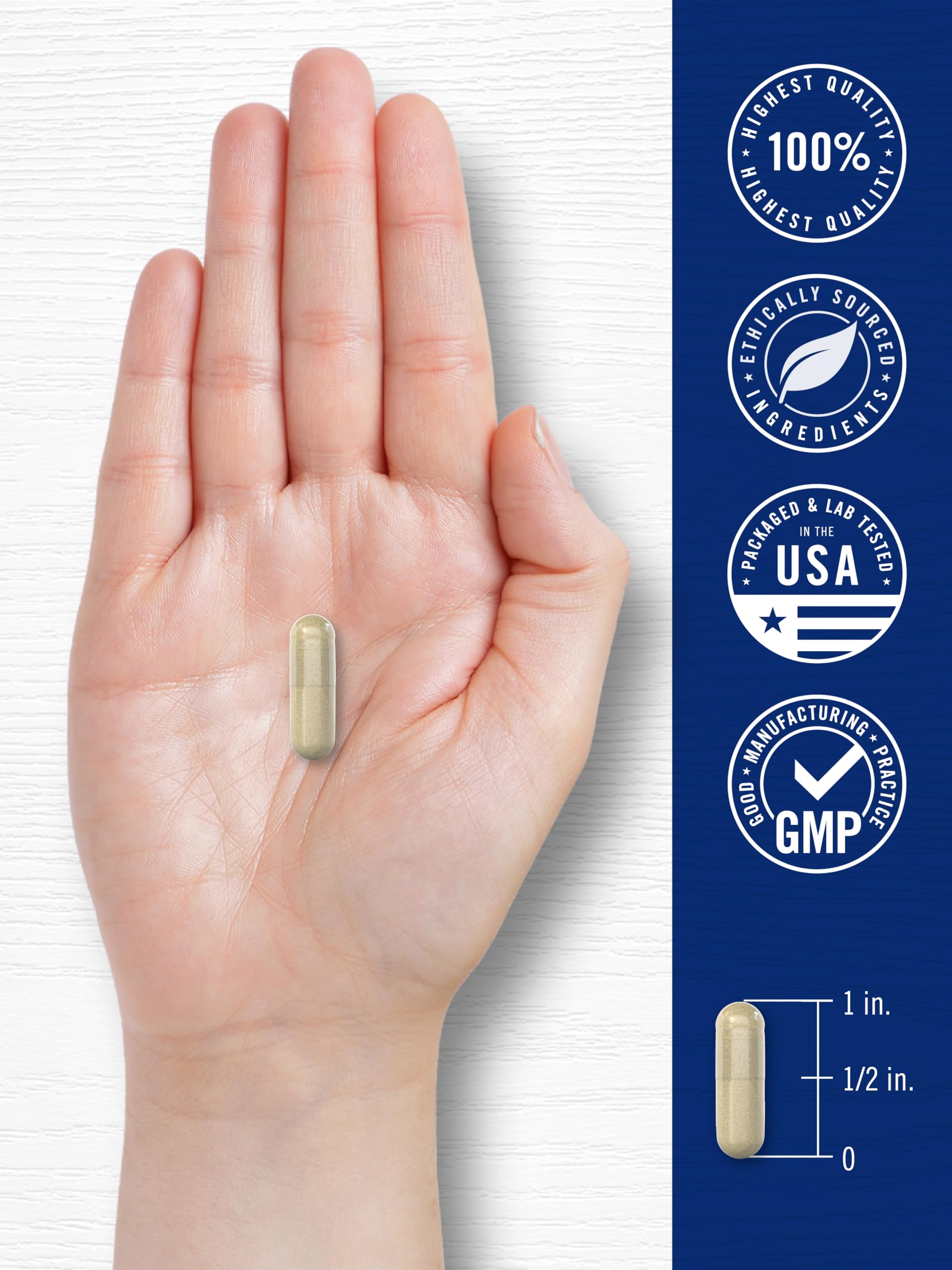 Carlyle Cortisol Supplement | 60 Vegan Capsules | Ashwagandha & Magnesium Complex | Non-GMO, Gluten Free CarlyleBuy Supplements Australia