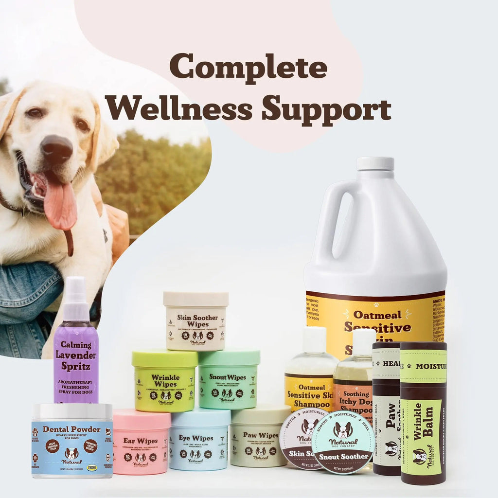 Natural Dog Company Dental Powder for Dogs – Freshens Breath & Helps Reduce Plaque & Tartar, Natural No-Brushing Canine Oral Health Postbiotic Supplement, Vet Formulated, Made in USA, 30-Day Supply Natural Dog CompanyBuy Supplements Australia