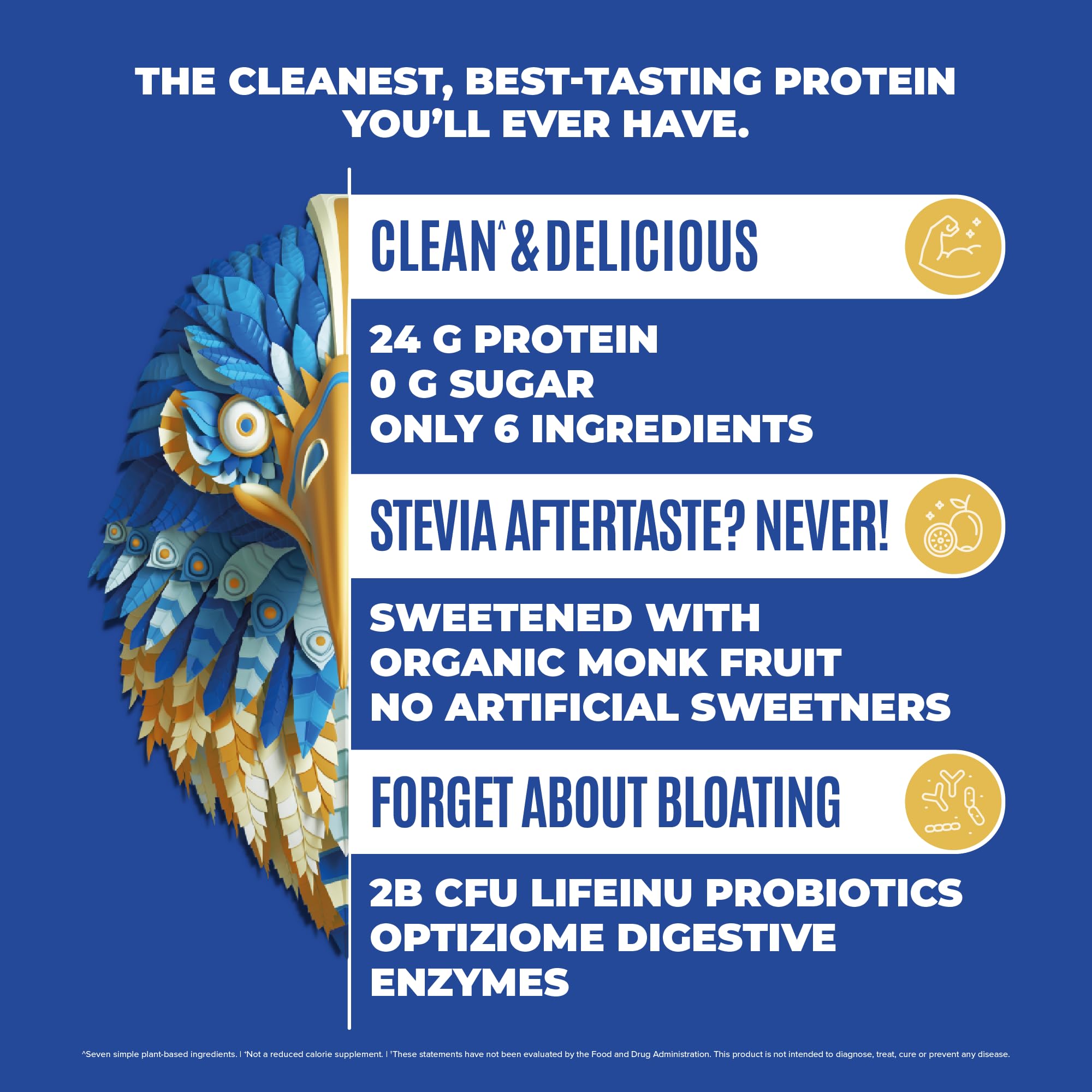 BIRDMAN Falcon Vegan Protein Powder Organic, Stevia & Sugar Free, Plant Based Protein BIRDMANBuy Supplements Australia