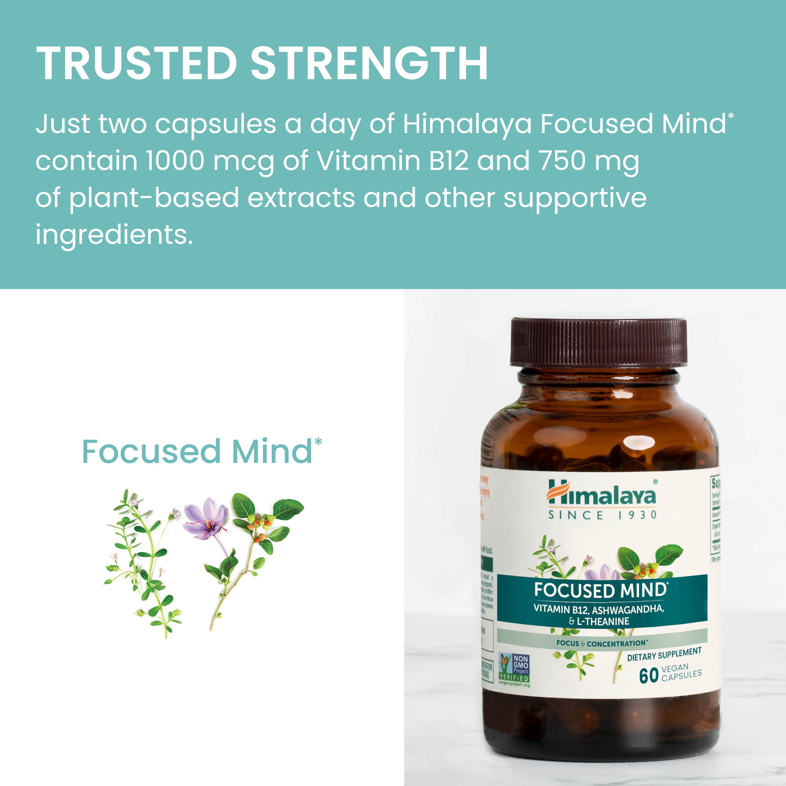 Himalaya Focused Mind Supplement, with Ashwagandha, Bacopa & L-Theanine for Attention, Focus and Energy Support, 60 Vegan Capsules, Gluten Free, 1 Month Supply HimalayaBuy Supplements Australia