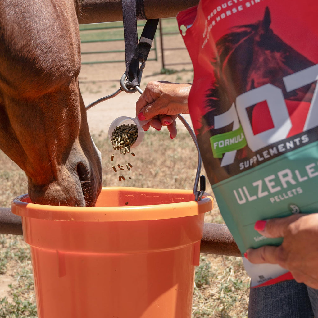 Formula 707 ULZERless Equine Supplement, 7.5lb Bag - Natural Gut Support for Horses with Ulcer Risk Factors Formula 707 buy supplements Au