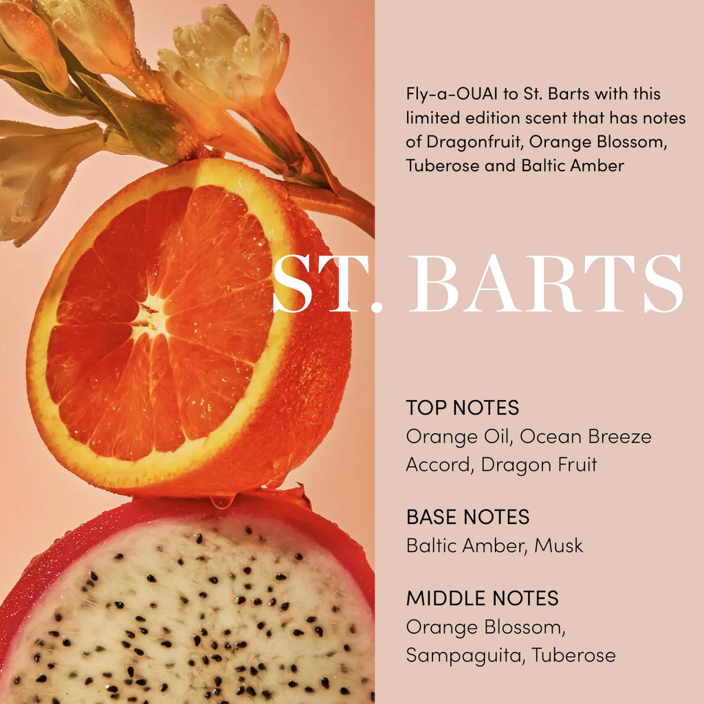 OUAI Body Cream, St. Barts - Hydrating Whipped Body Cream with Cupuaçu Butter, Coconut Oil and Squalane - Softens Skin and Delivers Healthy-Looking Glow - Sulfate-Free Skin Care (7.5 Oz) OUAIBuy Supplements Australia