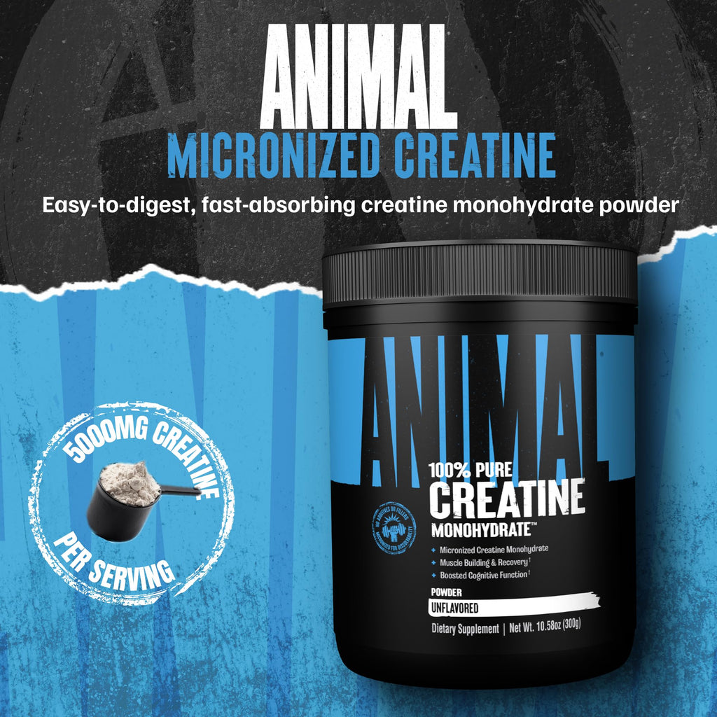 Animal Creatine Monohydrate Powder – Micronized Creatine for Women and Men, Supports Muscle Growth, Strength, Endurance, Recovery and ATP Production, Gym & Workout Supplements - Unflavored, 300g AnimalBuy Supplements Australia
