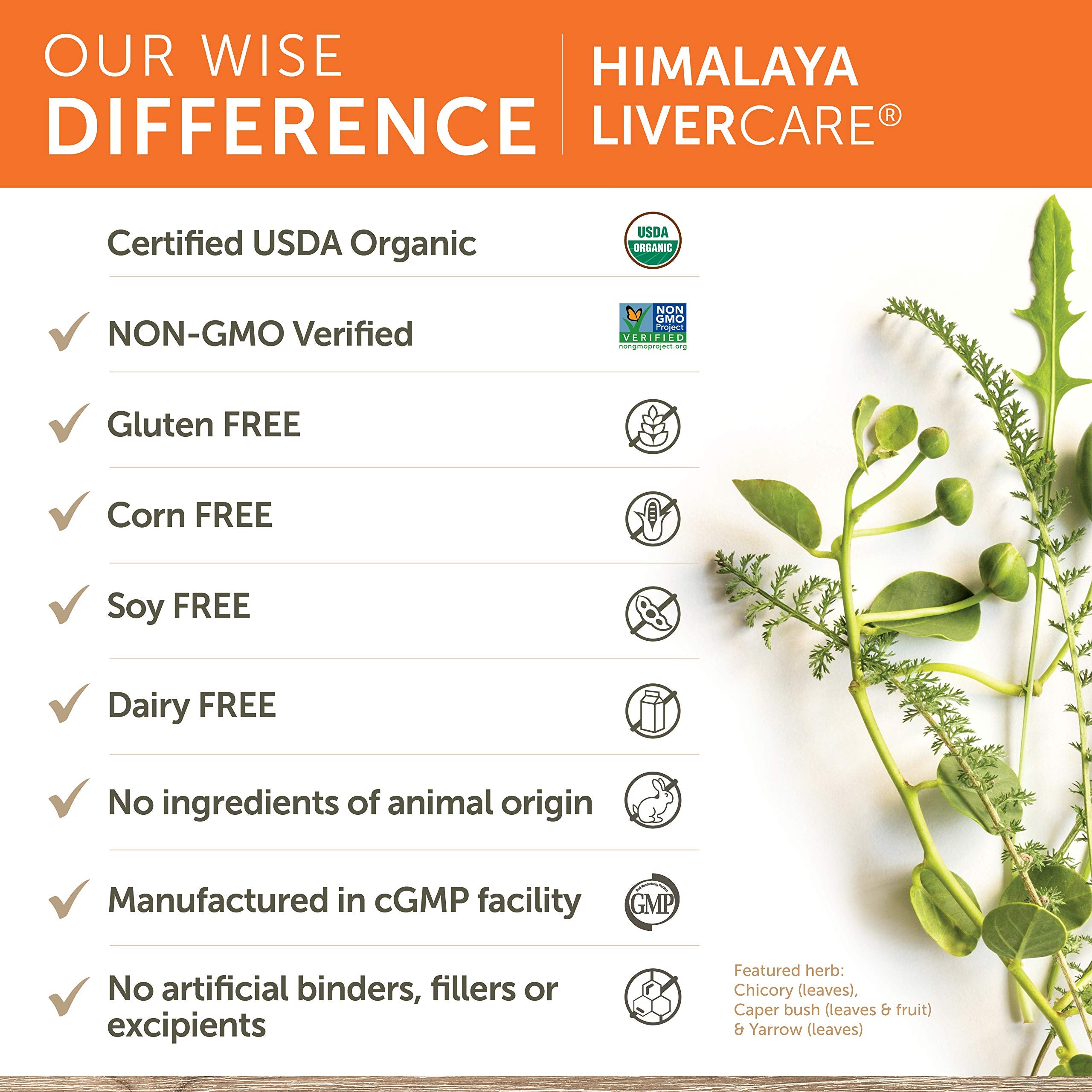 Himalaya LiverCare for Liver Cleanse and Liver Detox, 375 mg, 180 Capsules HimalayaBuy Supplements Australia