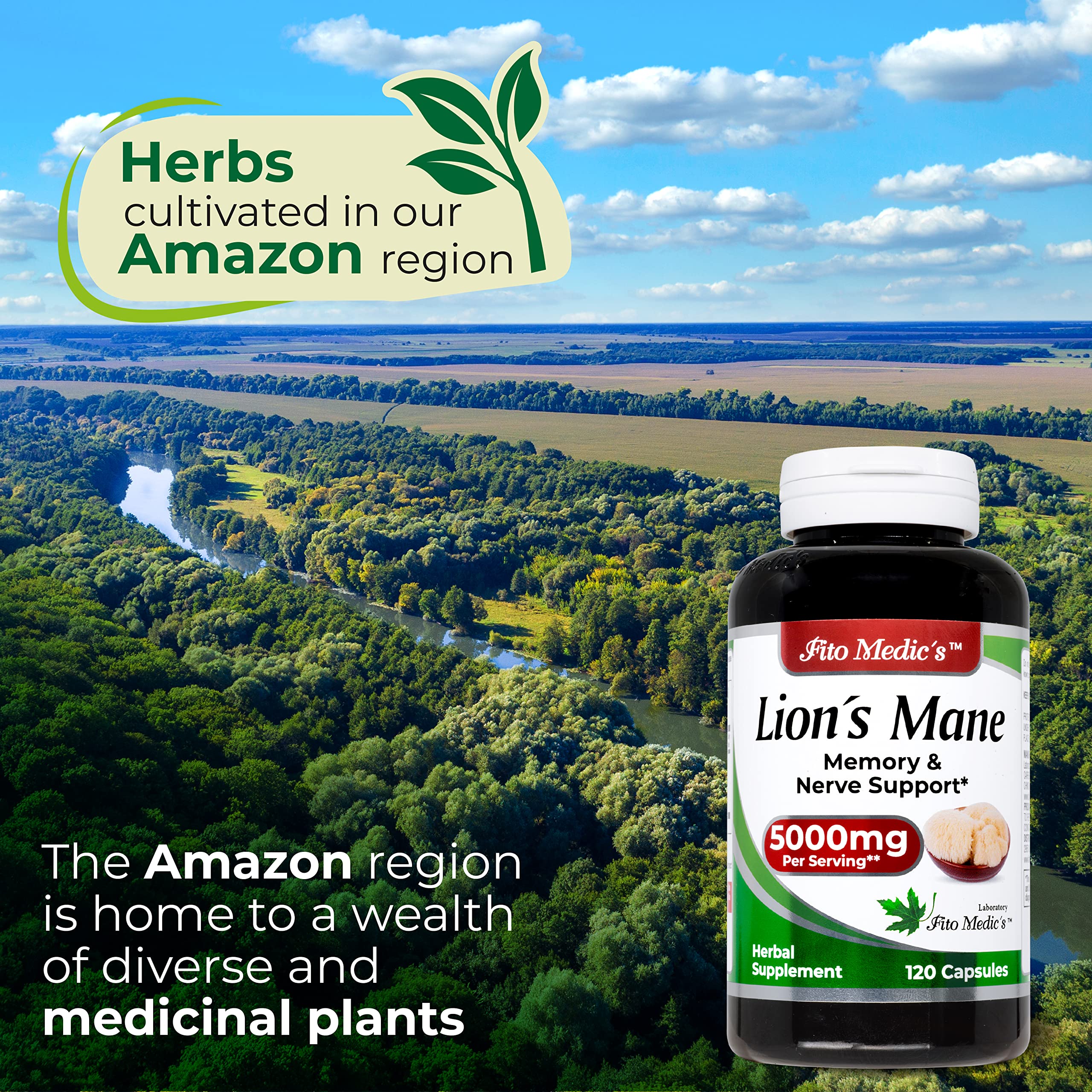 Lab | Lions Mane | 5000 mg per Serving | 120 Capsules | lions mane supplement | lions mane FITO MEDIC'SBuy Supplements Australia
