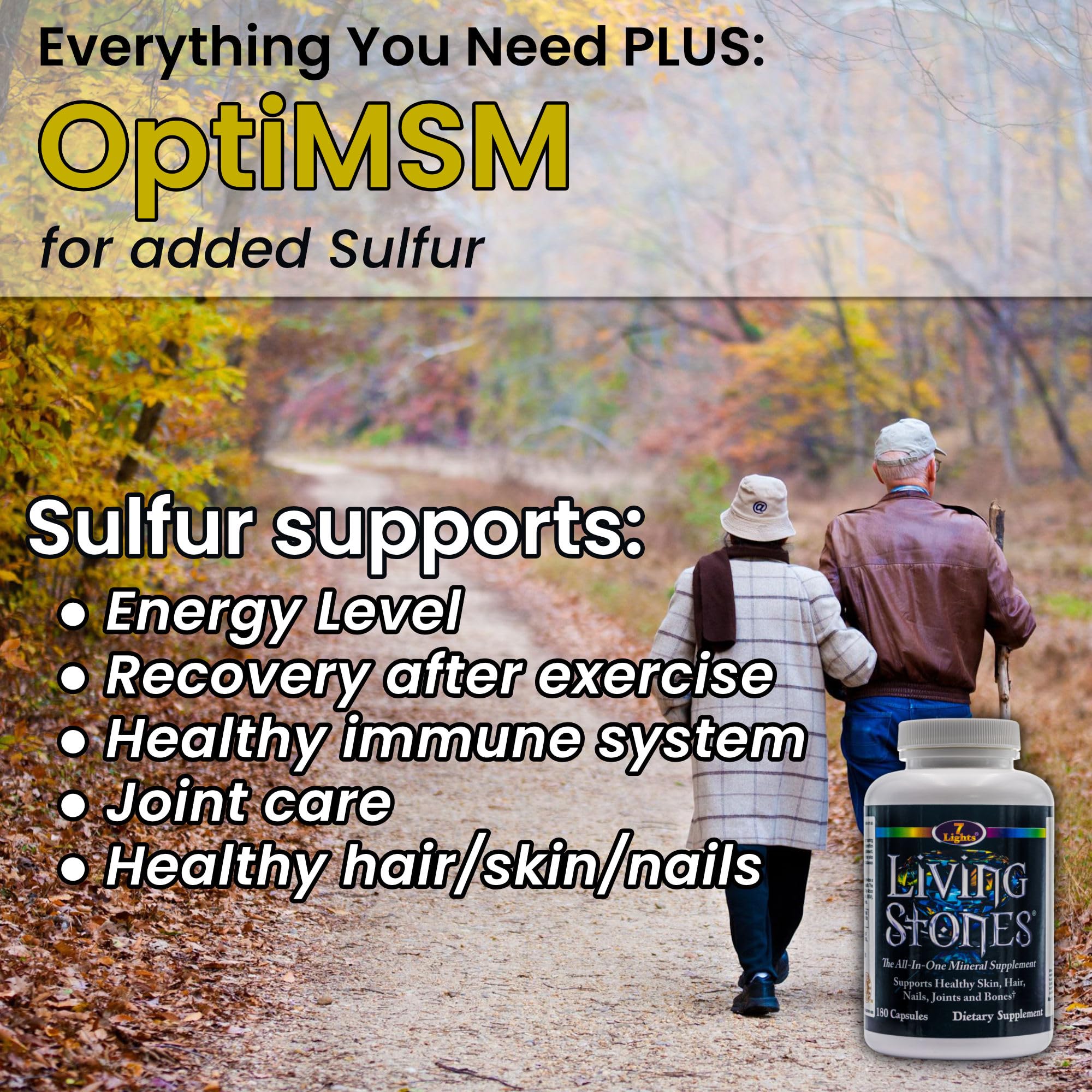 Living Stones, Complete Mineral Supplement with Zinc, Calcium, Magnesium, Selenium, Trace Minerals, No Added Iron, with MSM (Organic Sulfur) and Shilajit, Premium Absorption (30-Day Supply - 180 Caps) 7 LightsBuy Supplements Australia