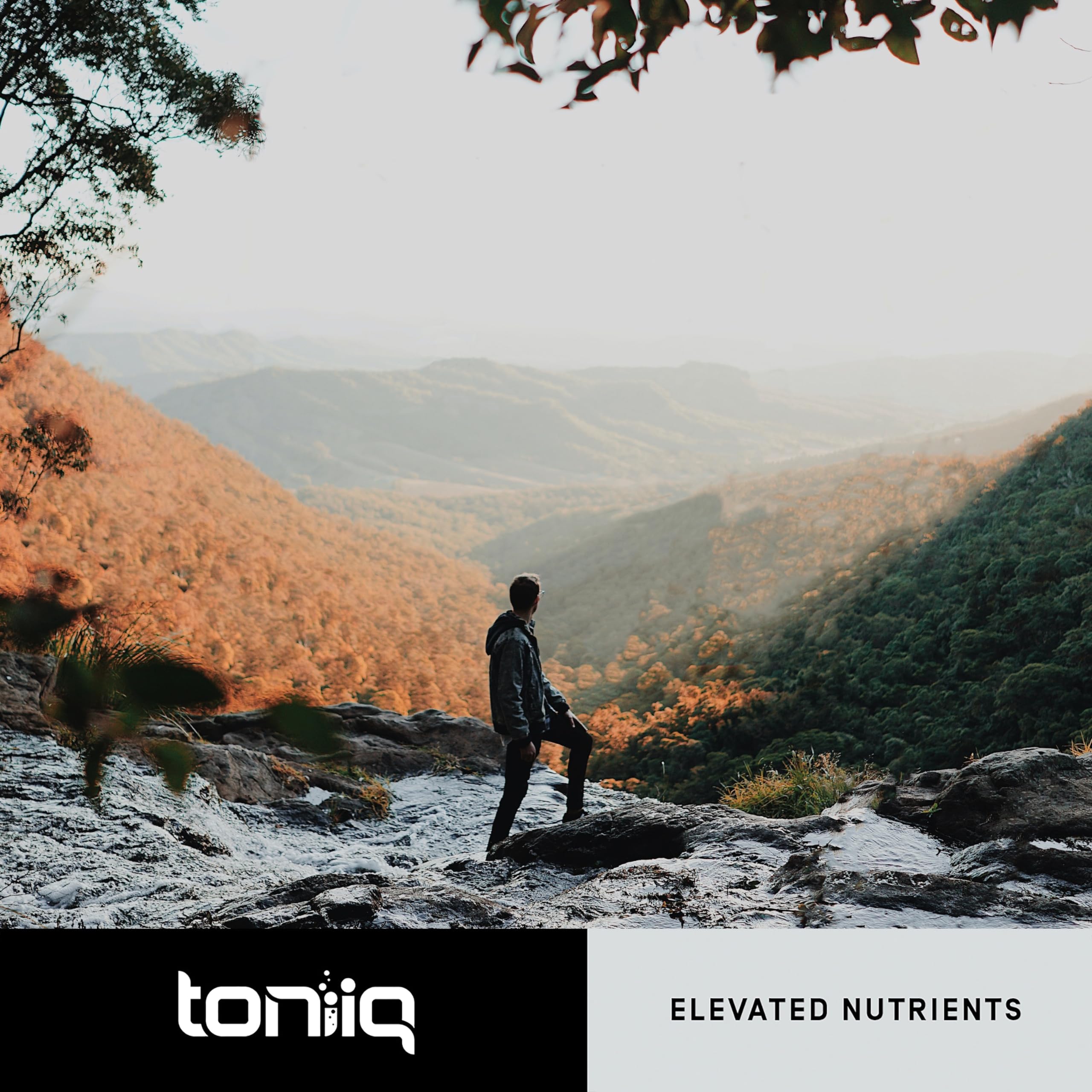 Toniiq 18,000mg 15x Concentrated Artichoke Extract Capsules - Ultra Concentrated ToniiqBuy Supplements Australia