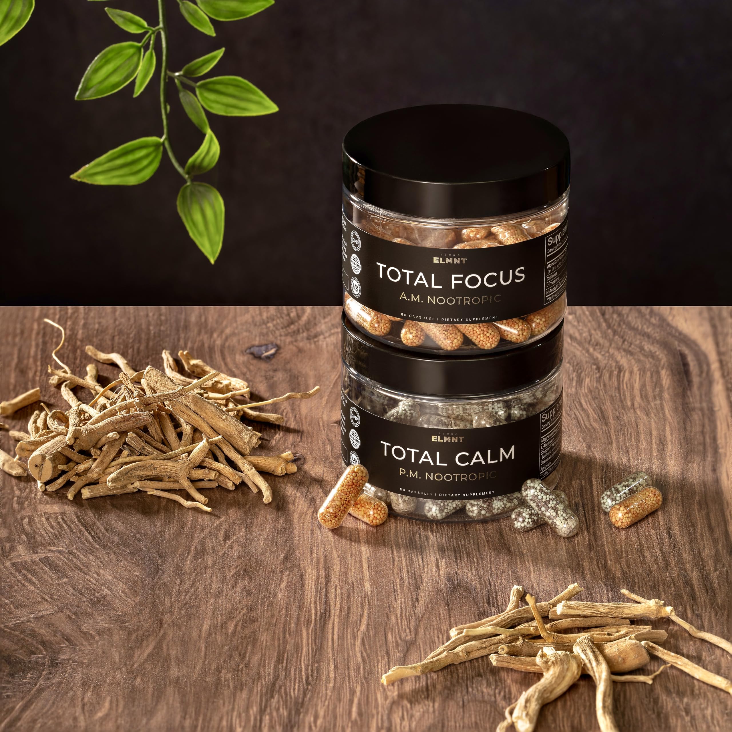 AMPM Nootropic Total Focus + Calm 9X Strength w. Caffeine, L-Theanine, Alpha GPC, L-Tyrosine, Ashwagandha - X-Release Energy Pills Nootropics Brain Support Supplements for Memory and Focus Supplement TERRA ELMNTBuy Supplements Australia