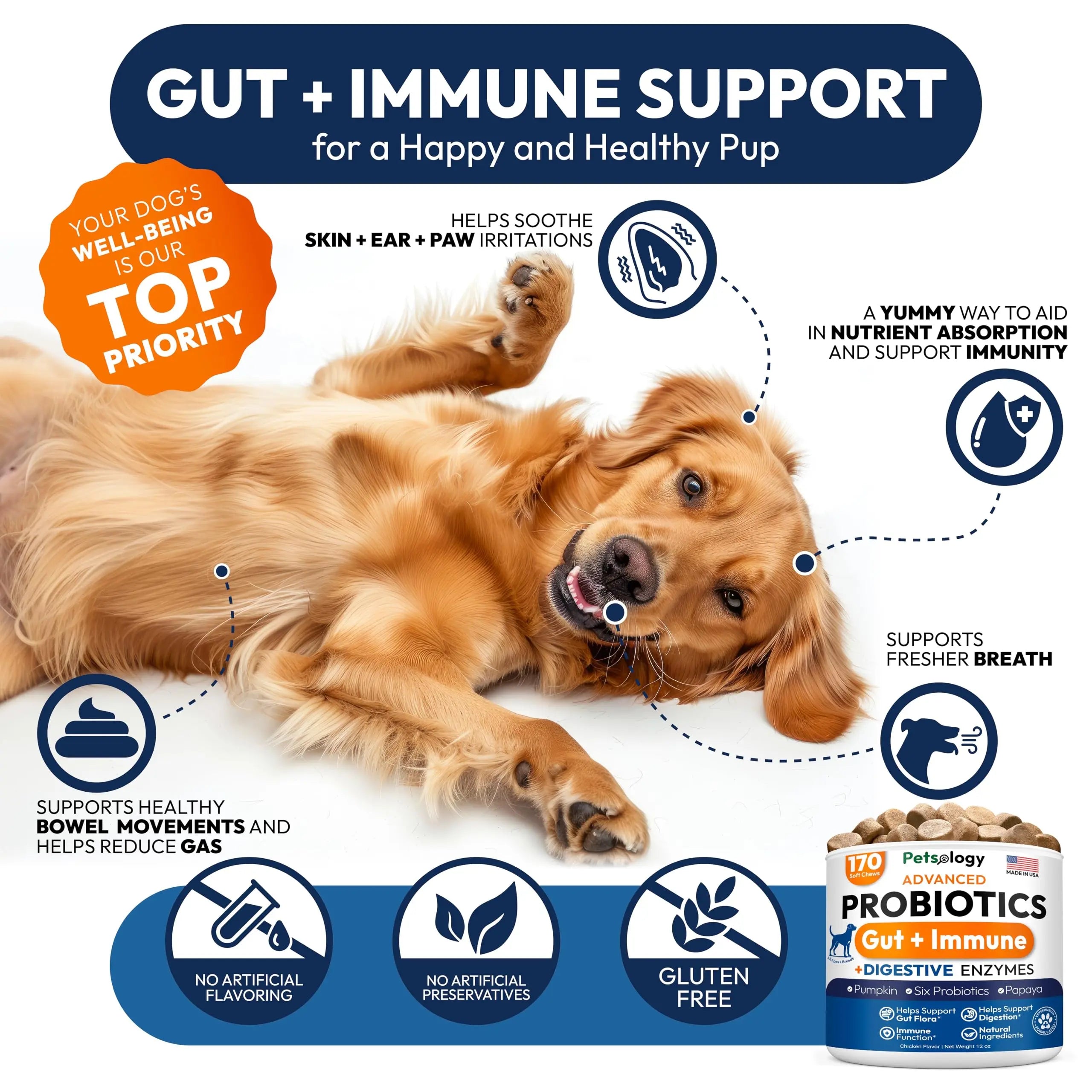 Probiotics for Dogs - 170 Dog Probiotics Chews - Digestive Enzymes & Prebiotics - Support Gut Health, Diarrhea, Gas & Constipation Relief - Itchy Skin, Allergies, Yeast Balance - Advanced Supplement Petsology buy supplements Au