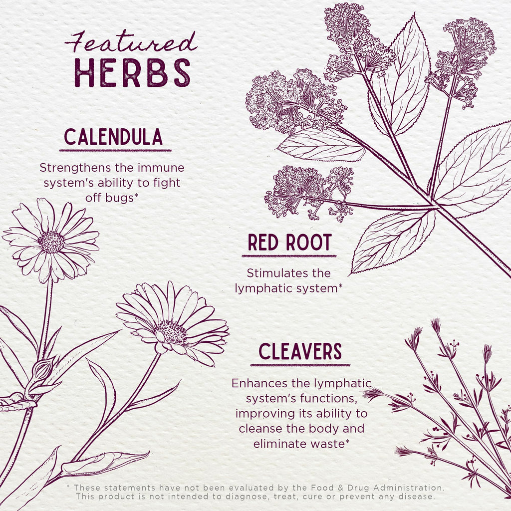 WishGarden Herbs Lymph Mover - Organic Lymphatic Drainage Drops with Echinacea, Cleavers & Red Root - Immune Support Supplement, Lymph System Support - Liquid Herbal Tincture, Gluten-Free, Vegan, 2oz WishGarden buy supplements Au